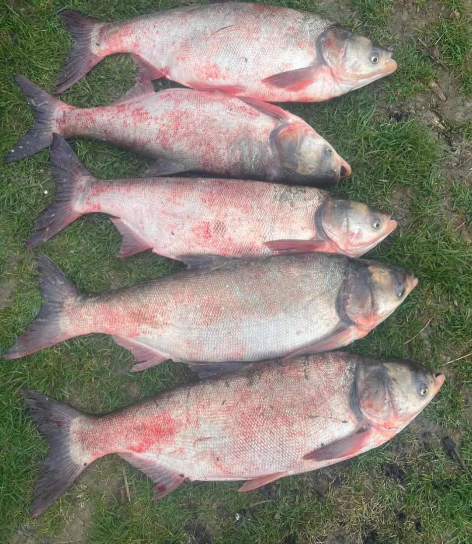 Рибалка http://stavok3.com.ua