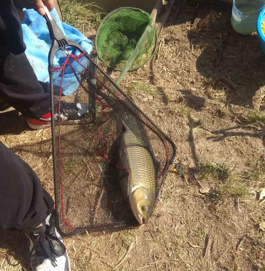 Рибалка http://stavok3.com.ua